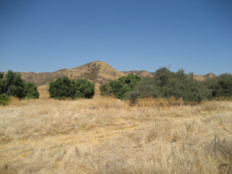 photo view